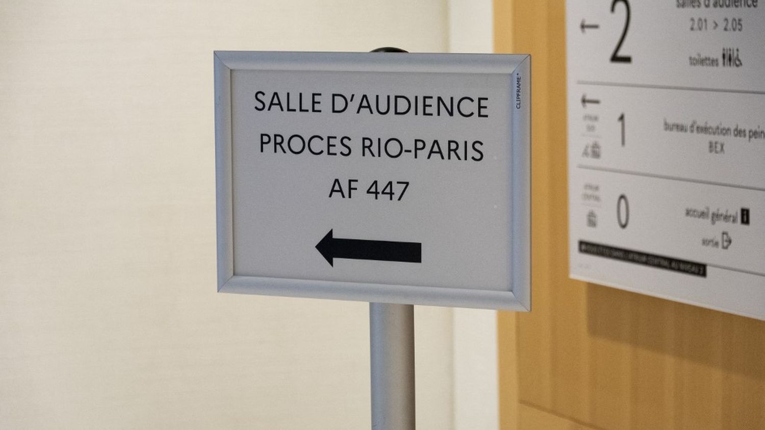 Crash du Rio-Paris : le parquet général fait appel de la relaxe d'Airbus et d'Air France