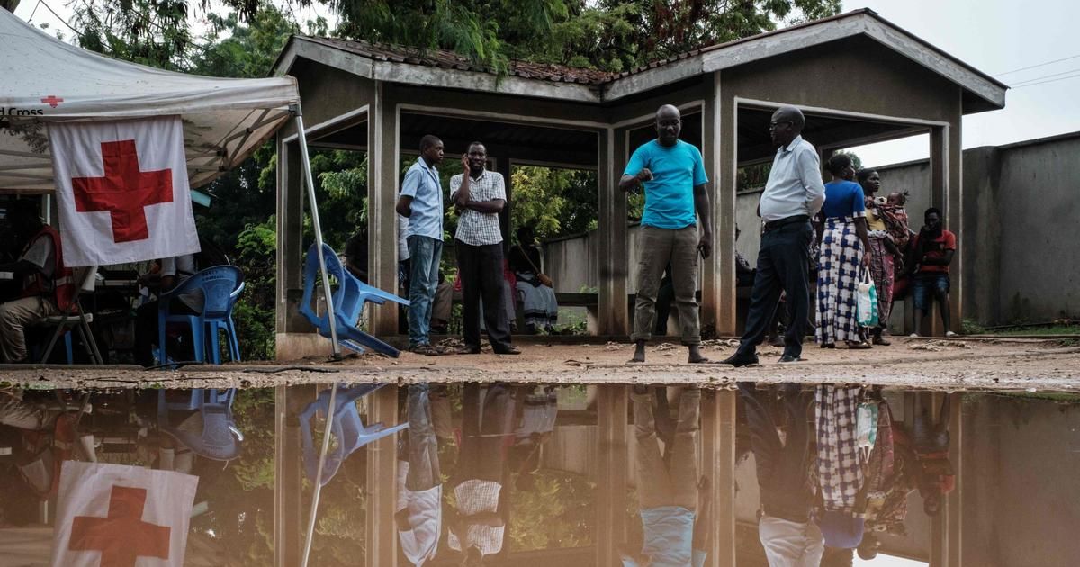 Sectes au Kenya : un nouveau pasteur accusé du "meurtre de masse de ses fidèles"