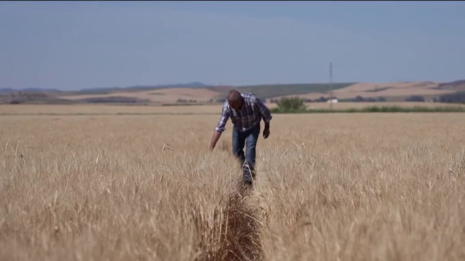 L’Espagne en proie à une forte vague de chaleur, les agriculteurs en danger