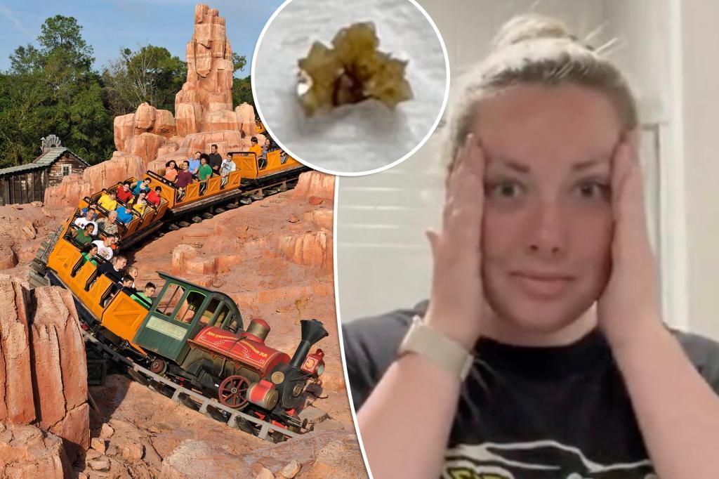 I passed a kidney stone on a Disney World ride