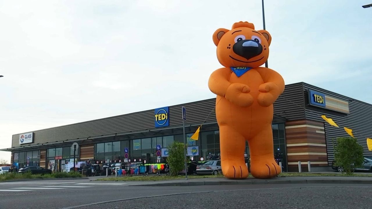 Magasins hard-discount : TEDi, un nouveau venu prêt à faire trembler la concurrence ?