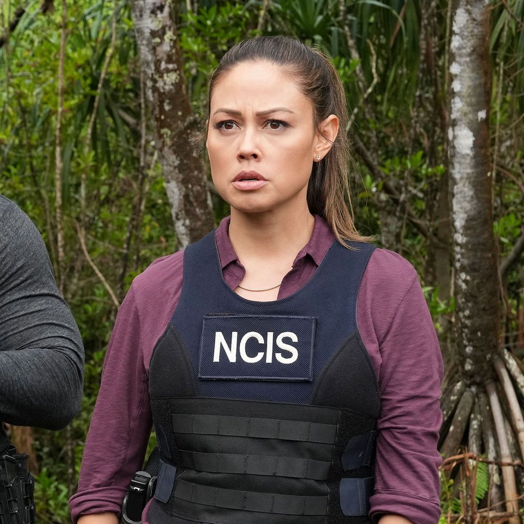 Vanessa Lachey Feels "Blindsided" by NCIS: Hawai'i Cancellation