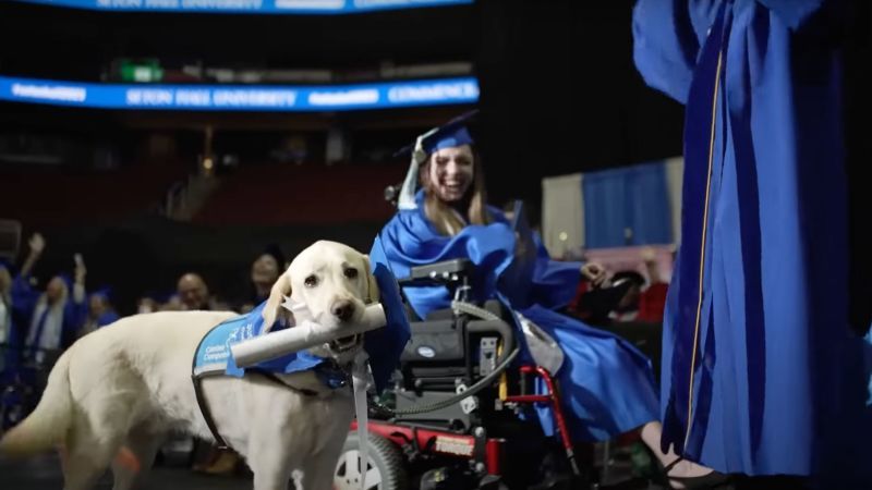 Service dog gets honorary diploma with owner at college graduation