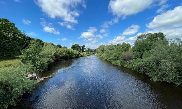 Boy, 15, found dead and 14-year-old fighting for life after difficulty swimming in river