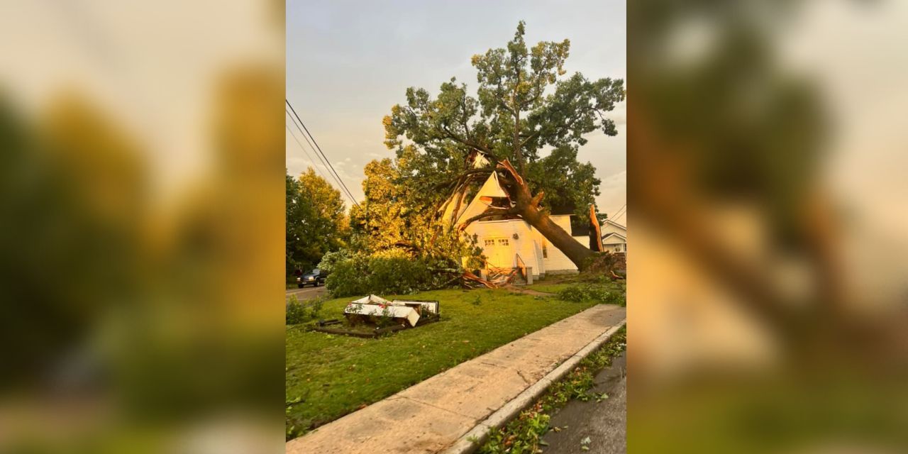 Shelby County under state of emergency due to storm damage, outages