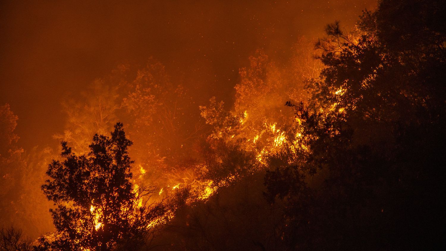 Incendie en Italie : décrivant des "montagnes brûlées", ces Siciliens dénoncent "l'abandon du gouvernement"