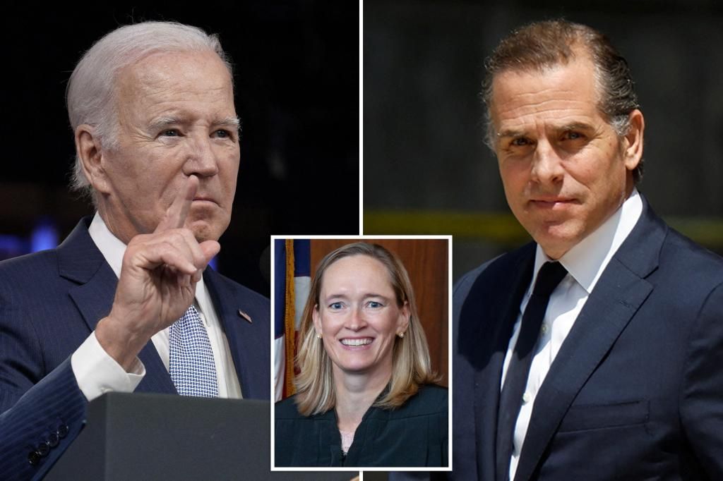 Hunter Biden won't get pardon from father, White House insists