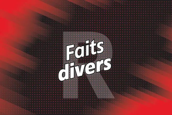 Contrôlé à 193 km/h sur une route départementale, agression au cinéma Pathé... Les faits divers du Loiret en bref