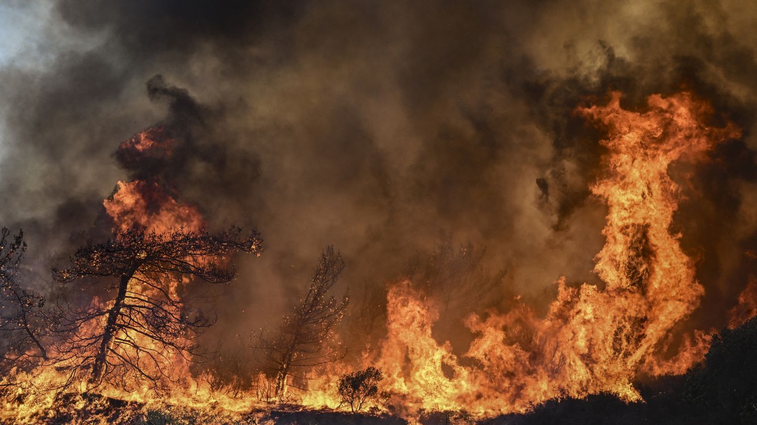 Incendies et canicule en Grèce : "Nous vivons une préfiguration des étés futurs", s'inquiète un météorologue à l'Observatoire national d'Athènes