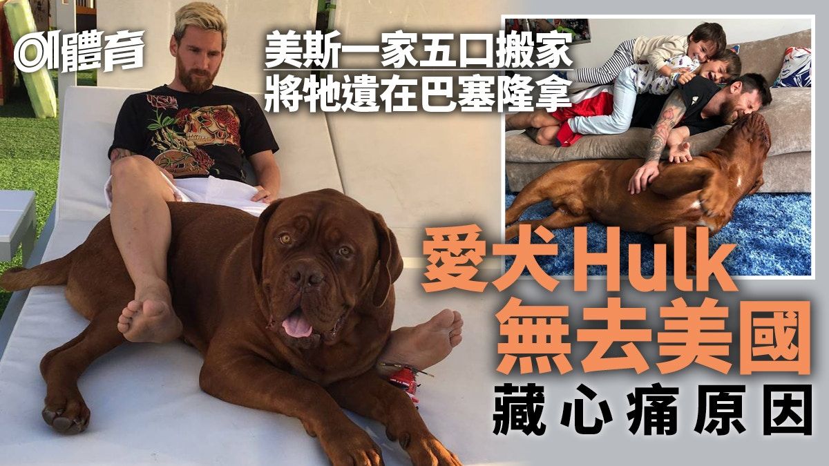 美斯一家移居美國獨欠一成員 愛犬Hulk被遺留心痛原因︱足球熱話