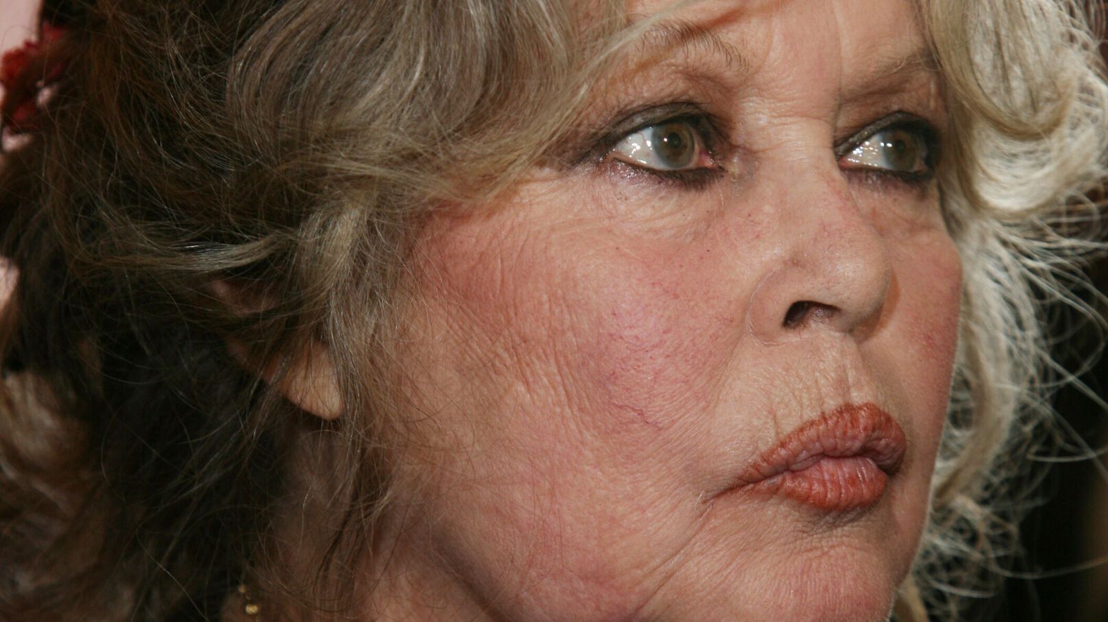 Brigitte Bardot au plus mal : l'actrice admise en soins intensifs, les causes dévoilées