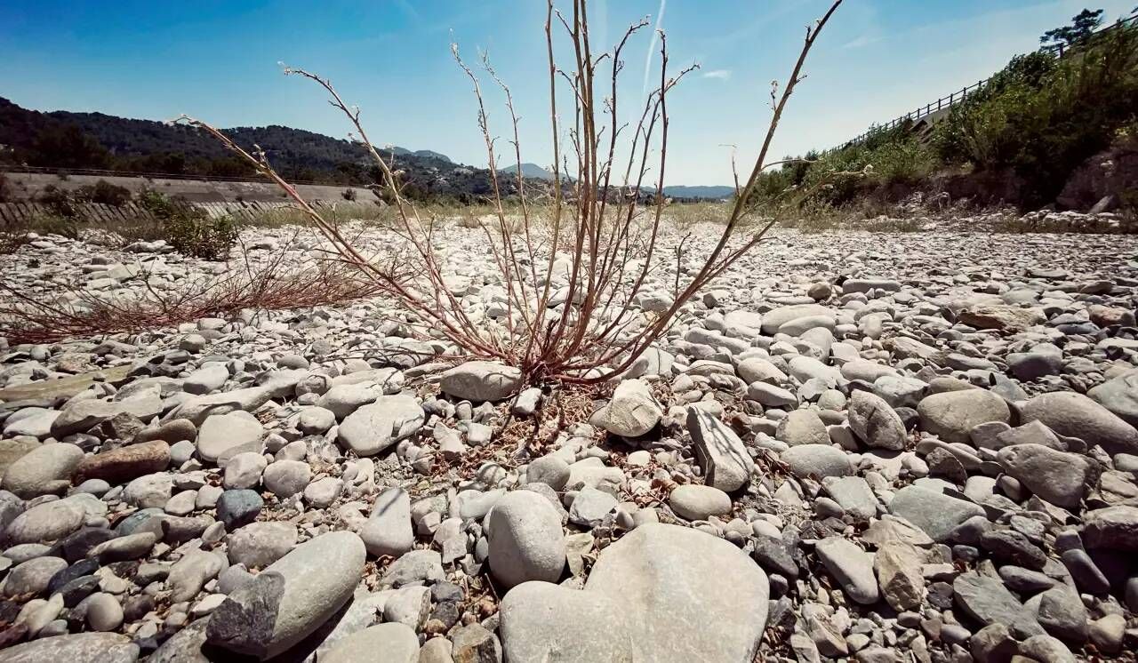 La sécheresse dans le Var en avril 2023 est digne d'un mois de juin, selon Météo France