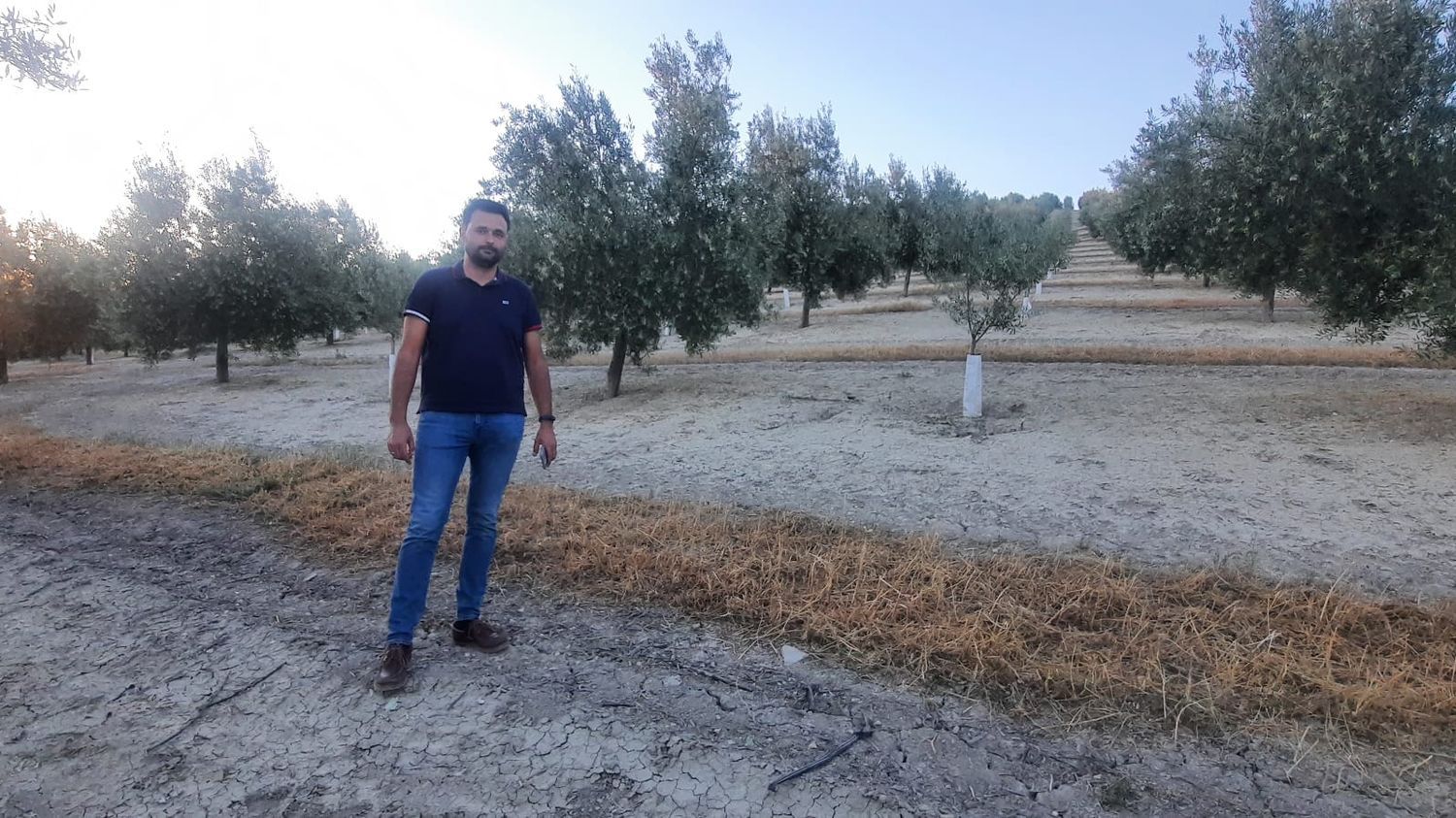 REPORTAGE. "Regardez le sol, on dirait un désert" : face aux records de chaleur, le "désastre" des agriculteurs du sud de l'Espagne