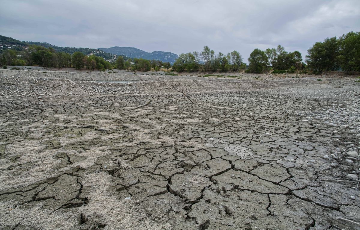 Sécheresse dans les Alpes-Maritimes : Trois bassins passent en " alerte renforcée "