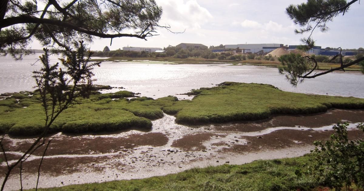 Une jeune femme retrouvée morte étranglée dans une rivière du Morbihan