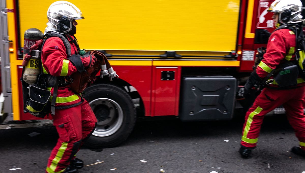 Seine-et-Marne : un incendie est en cours dans forêt de Fontainebleau, trois hectares ont brûlé