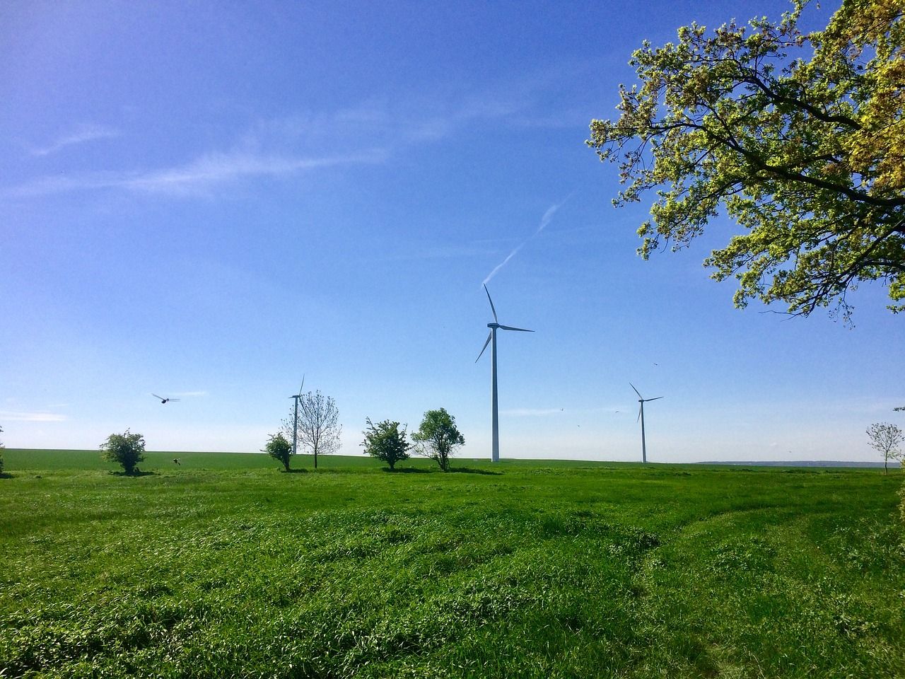 Les turbines éoliennes posent des problèmes majeurs