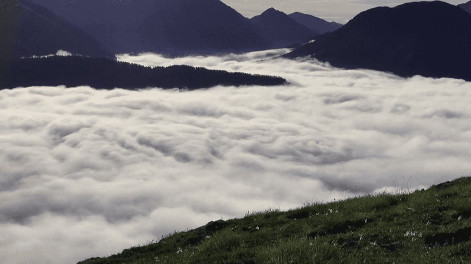 Environnement : le parc national suisse à l’abri de toute intervention humaine