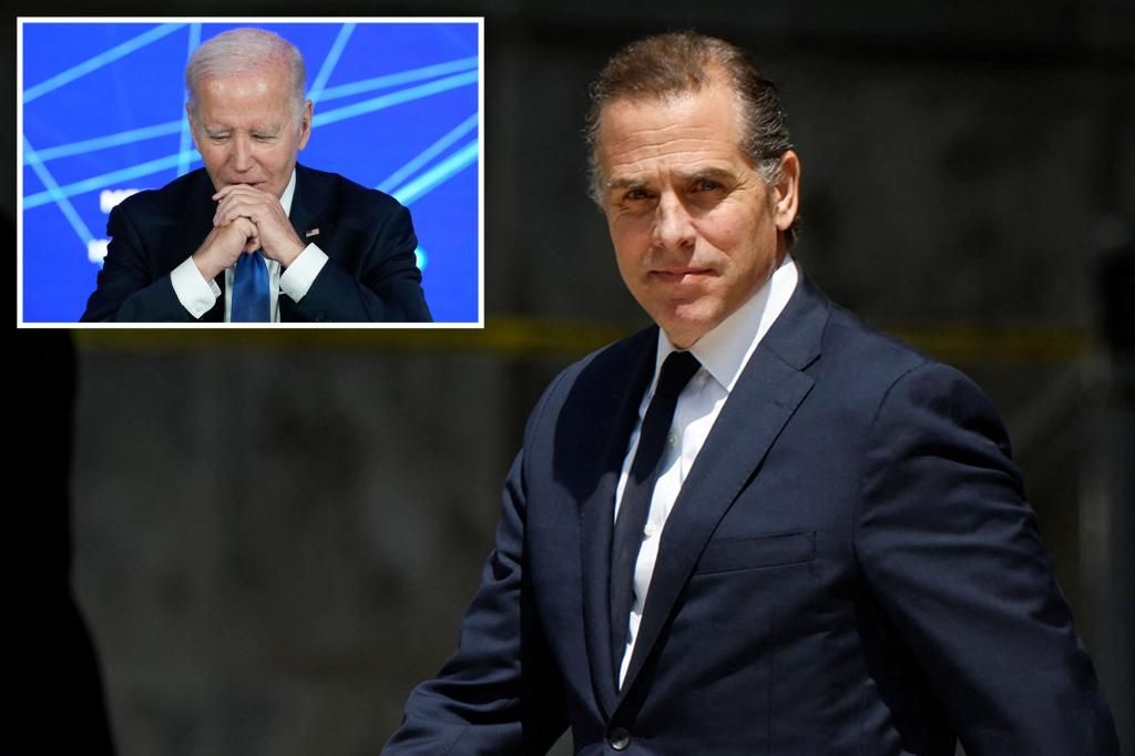 Hunter Biden admits to judge he made money from China, contradicting dad's claims