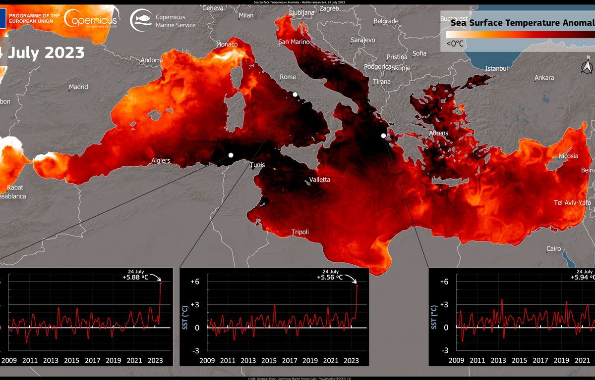 Méditerranée : Les canicules marines, la face " cachée " du changement climatique