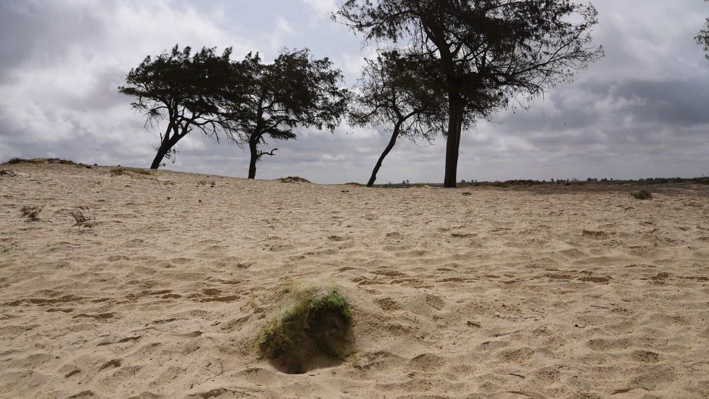 Bodies found on Senegal beaches as more migrants go missing at sea