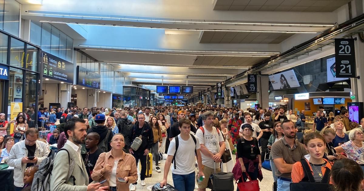 Panne géante en gare Montparnasse : malgré l'exaspération, les voyageurs prennent leur mal en patience