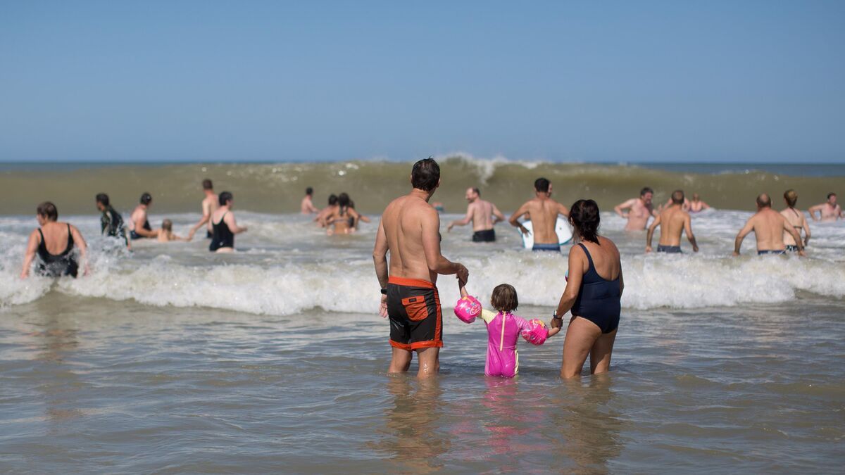 " Cette situation est extrême " : l’océan Atlantique Nord bat son record de chaleur