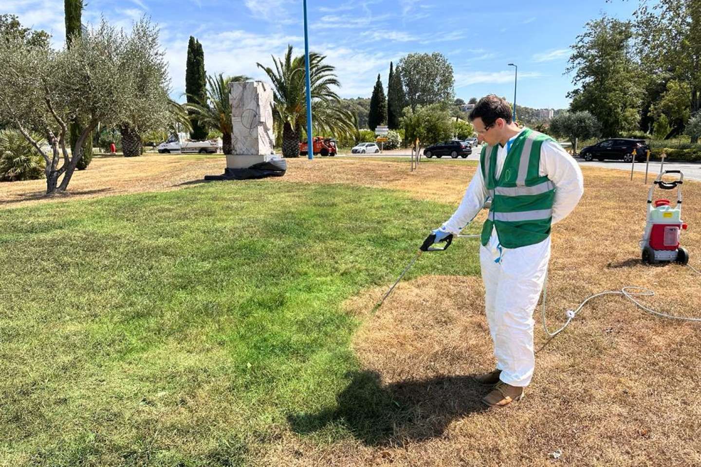 Dans les Alpes-Maritimes, une ville peint son gazon en vert pour masquer les effets de la sécheresse