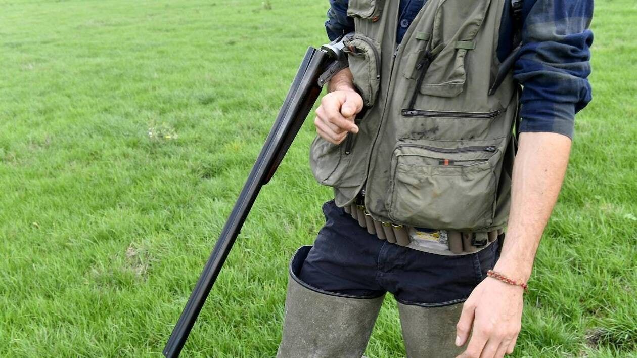 Loire : un chasseur tué par balle lors d’une battue aux sangliers