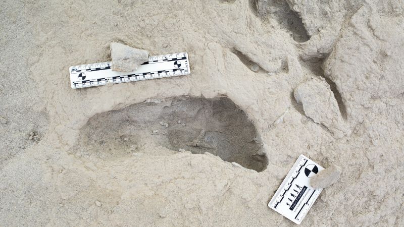 Discovery of fossilized footprints reveals the moment two ancient human species crossed paths