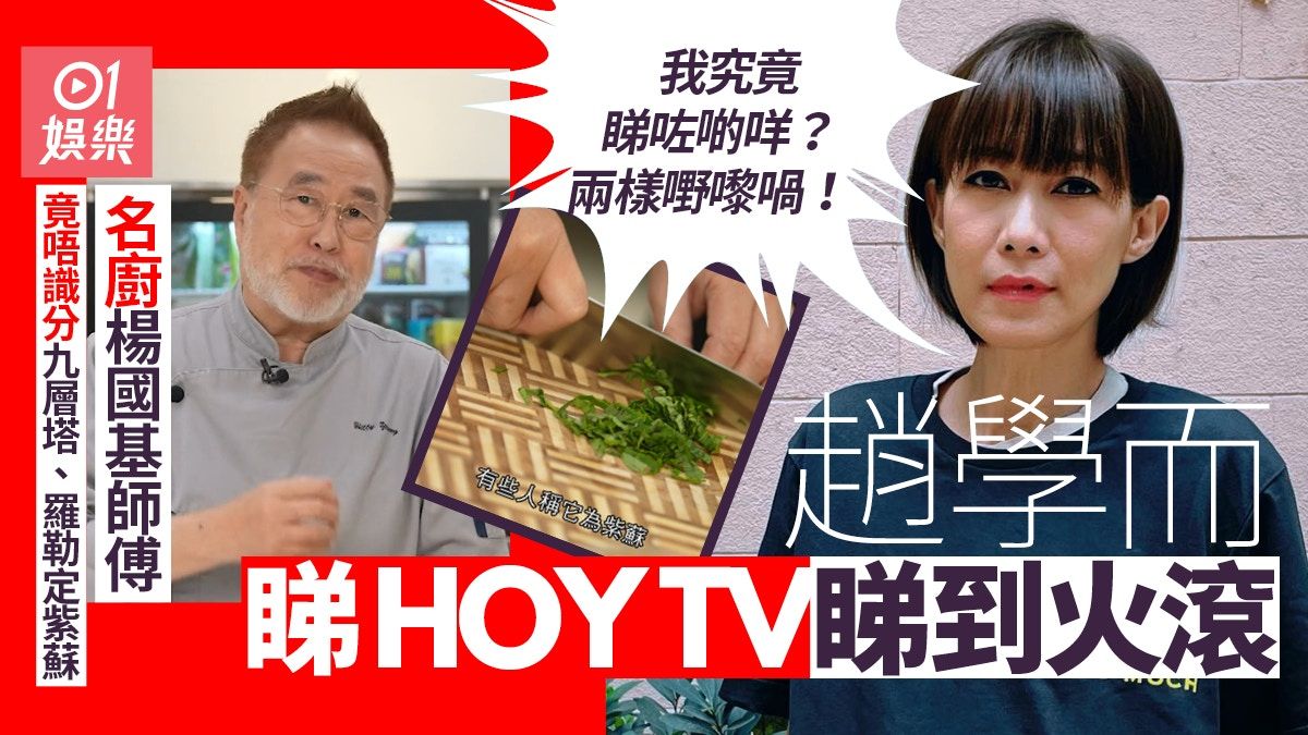 趙學而睇HOY TV睇到火滾 質疑名廚竟唔識分羅勒九層疊同紫蘇