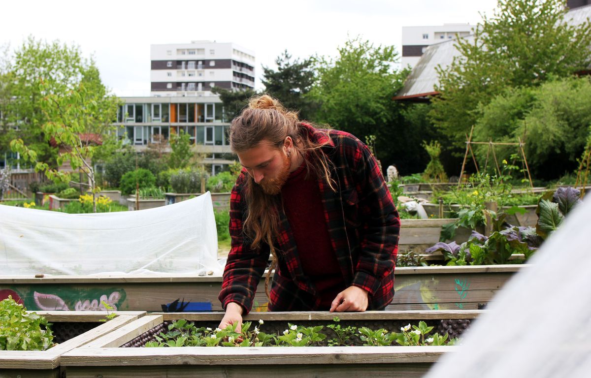 Agriculture : Pourquoi il est urgent de cultiver des fruits et légumes au cœur des villes