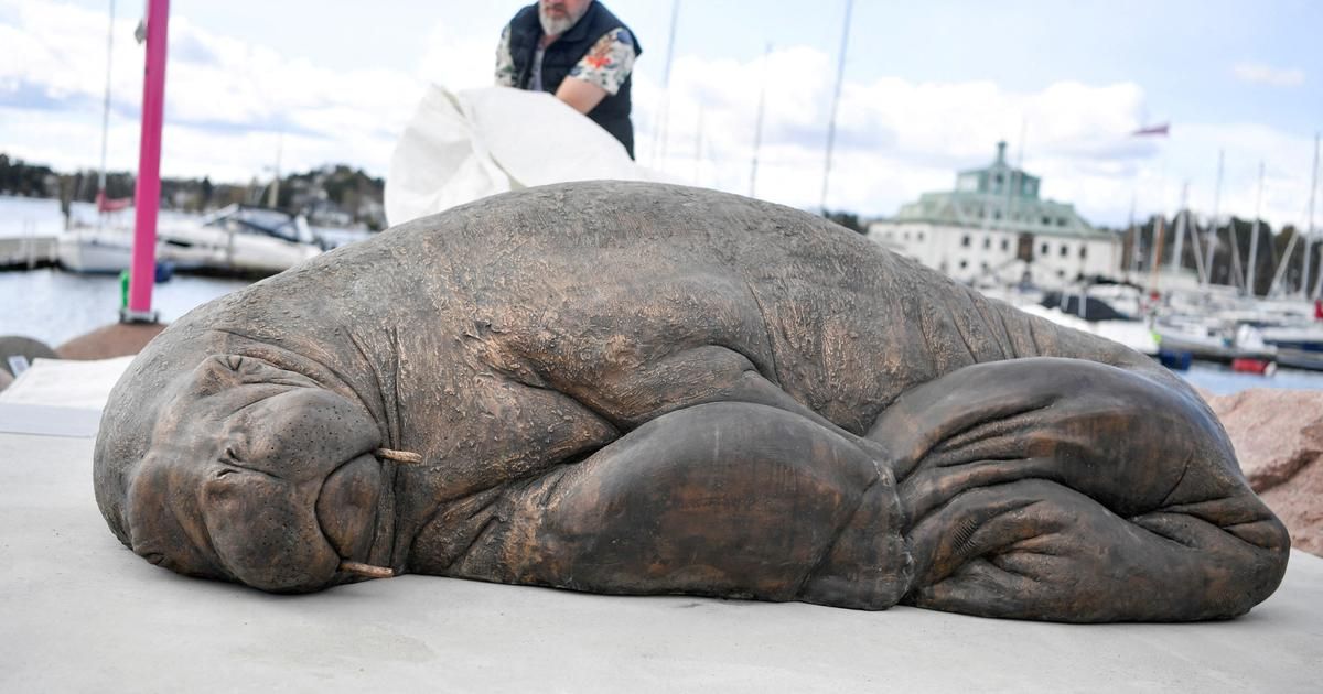 Norvège : une sculpture représentant Freya, un célèbre morse, dévoilée à Oslo