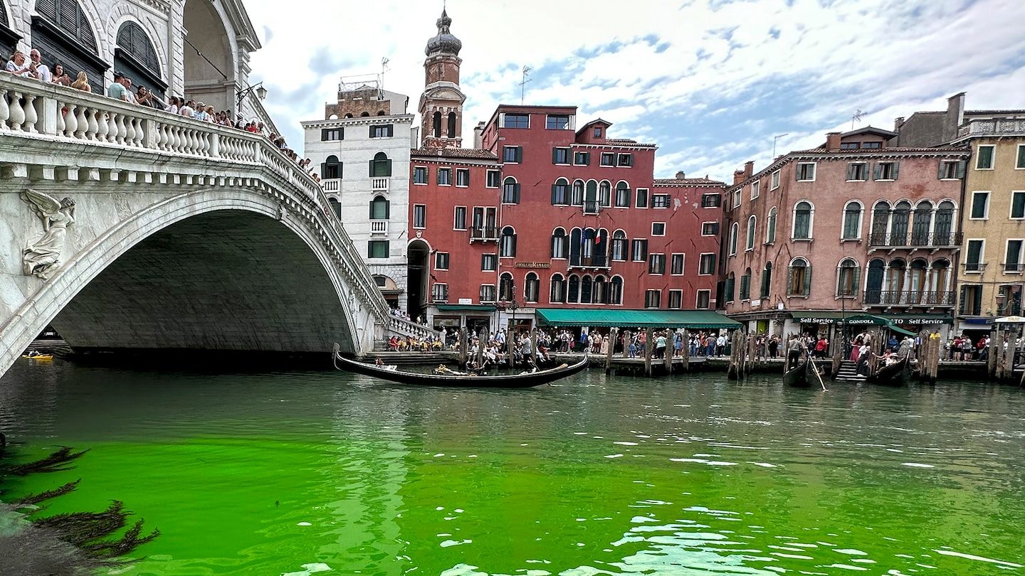 Venice Grand Canal waters turn green; investigation launched