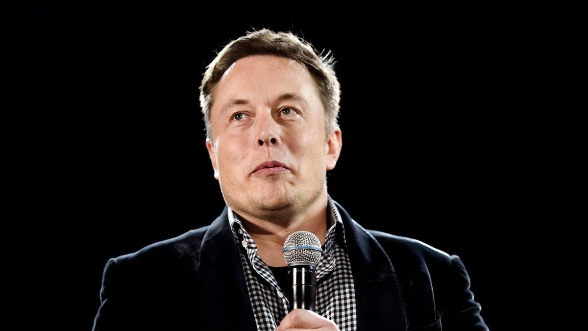 Elon Musk's Parents Don't Want Him to Fight Mark Zuckerberg