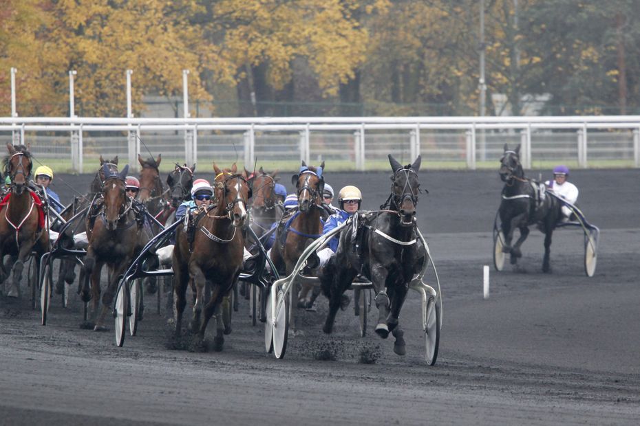 Les pronostics du Quinté de Vincennes du vendredi 30 juin 2023 par Jack Vautrin