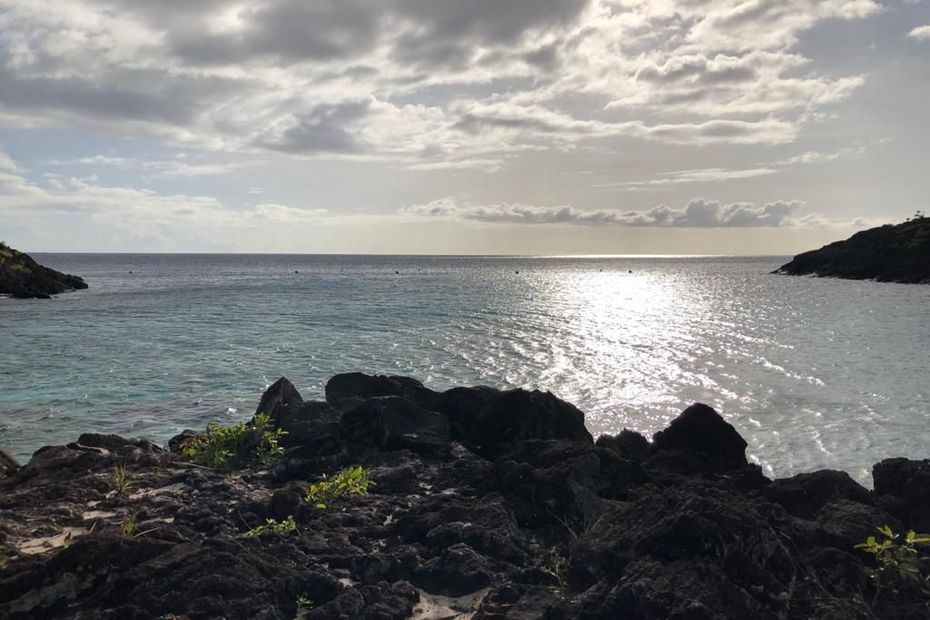 Onde tropicale n°13 : retour au vert, en Guadeloupe, à St-Barthélemy et St-Martin