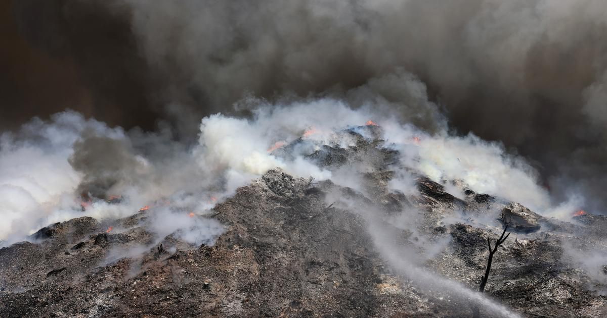 Incendies en Grèce : l'écosystème "en danger", selon des experts