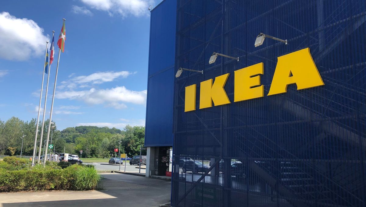 Fêtes de Bayonne : "ils étaient comme à la maison", quand les festayres font la sieste dans Ikea