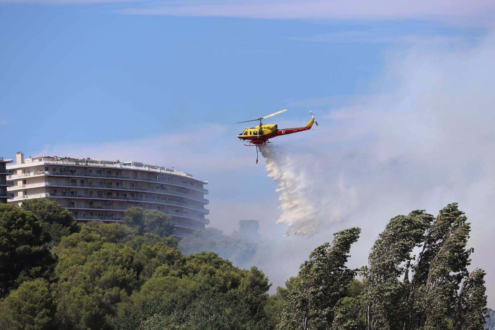 "Si un feu se déclare, on n'a aucun moyen de le combattre": dans cette résidence de Cagnes-sur-Mer, on veut retenir "les leçons" de l’incendie qui a détruit 10 hectares ce mardi