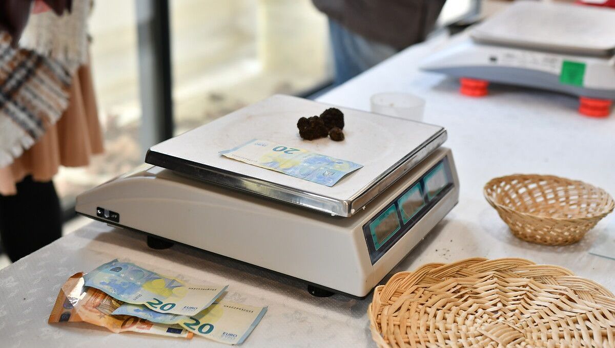 "Nous avons été ciblés" : des producteurs de marchés en Dordogne cambriolés pendant leur travail