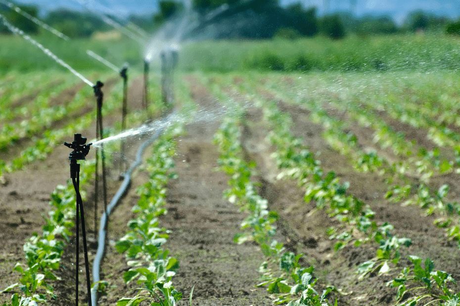 Sécheresse. Arrosage, lavage de voitures, piscines : quelles sont les restrictions d'eau en Loire-Atlantique ?