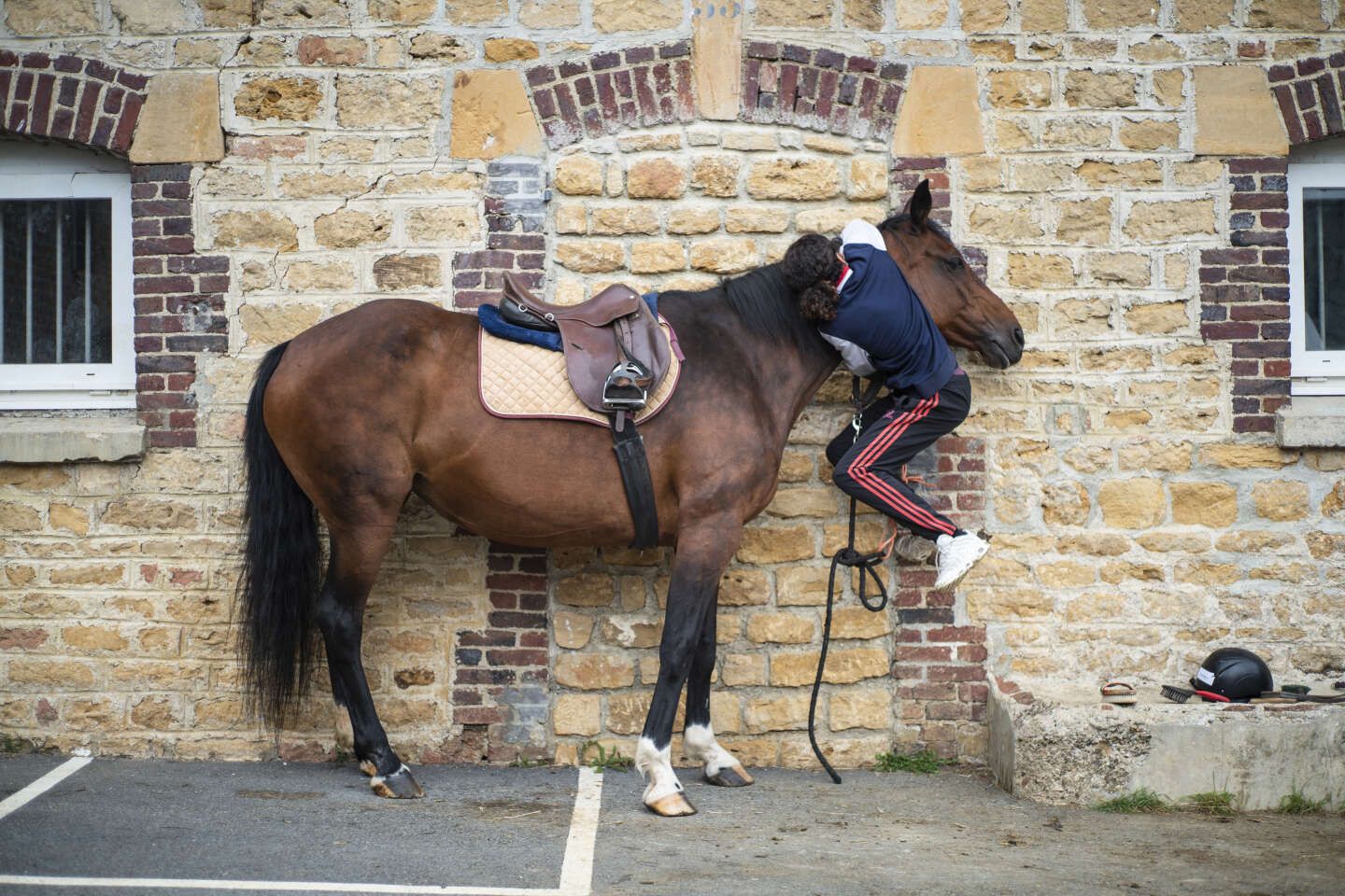 En France, l’équitation reste un sport populaire et le cheval, un marché dynamique à l’export