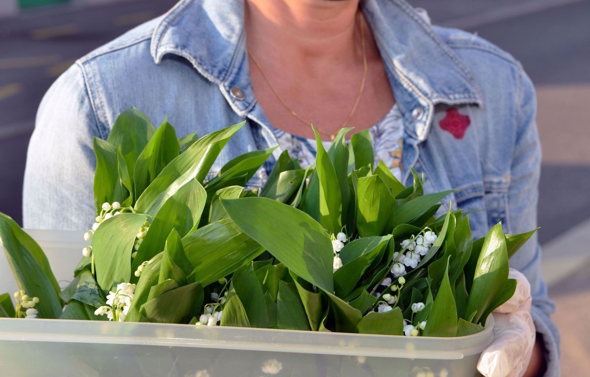 1er Mai : Au fait, quelles sont les règles pour vendre du muguet dans la rue ?