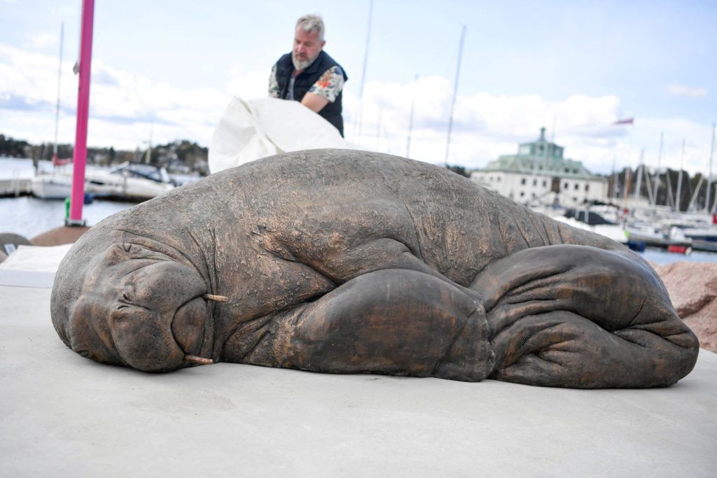 Life-size sculpture of Freya the walrus unveiled in Norway