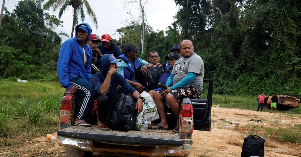 Brazil steps up gold miner removal on Yanomami land after shooting