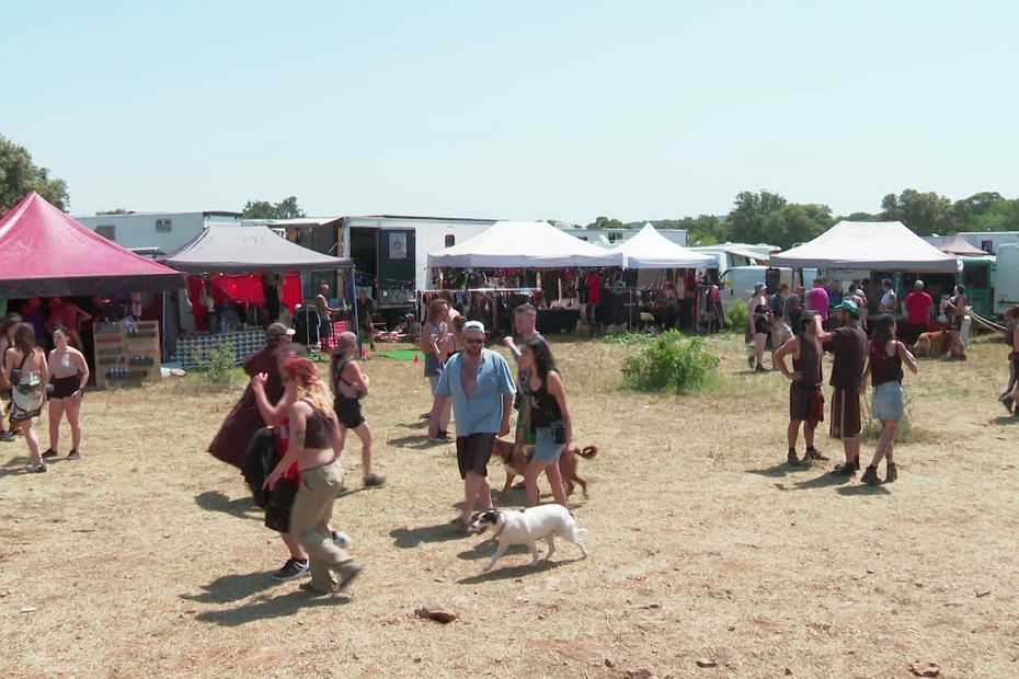 Rave party dans l'Hérault : les 6000 fêtards libèrent le terrain classé en zone Natura 2000, à Viols-en-Laval