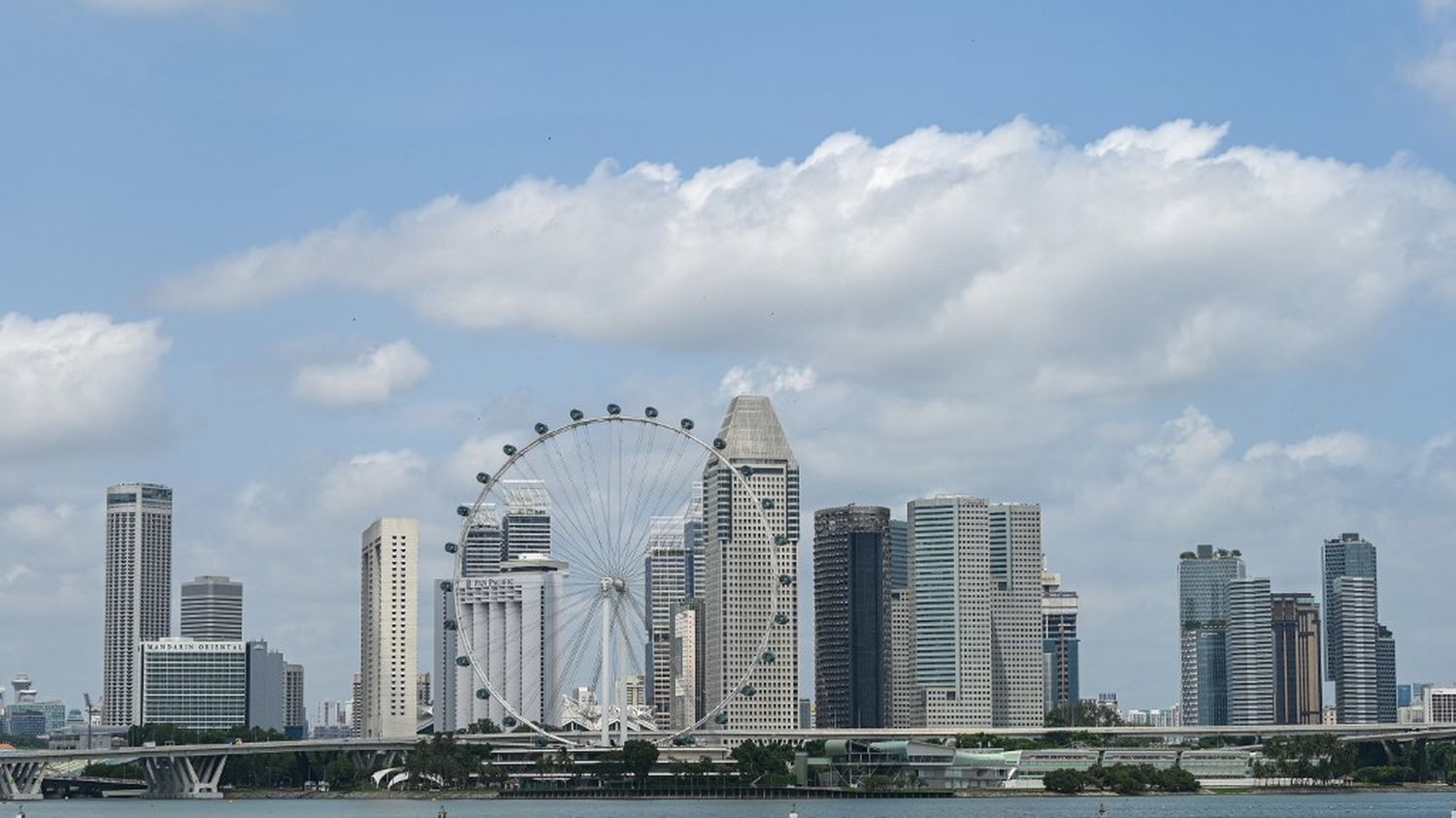 A Singapour, un restaurant sert de la soléine, présentée comme la protéine la plus écolo du monde