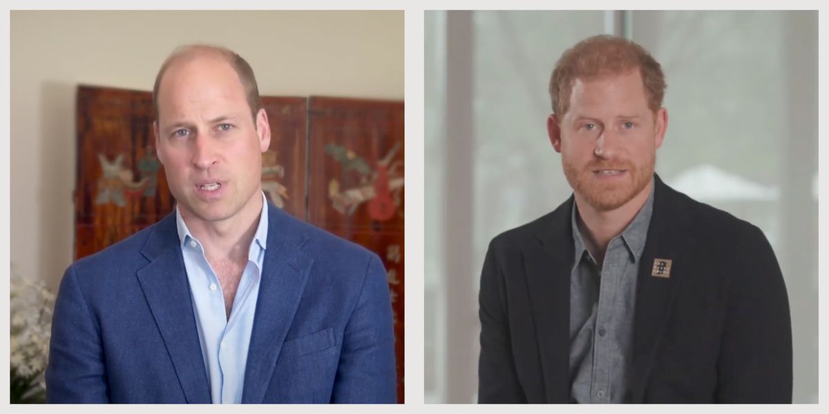 Prince Harry and Prince William Both Participated in the 2023 Diana Awards Ceremony