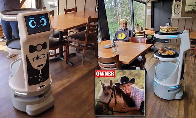 Robotic waiter 'Plato' divides small Oregon town: Some restaurant customers recoil, and others ask if they are supposed to tip it